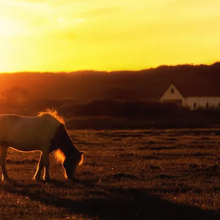 Kaapduene Feriehus Spiekeroog