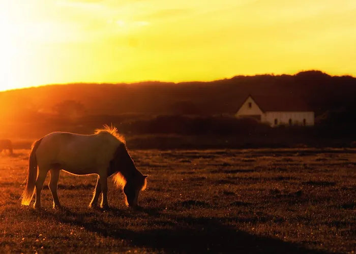 Kaapduene Дом отдыха Шпикерог